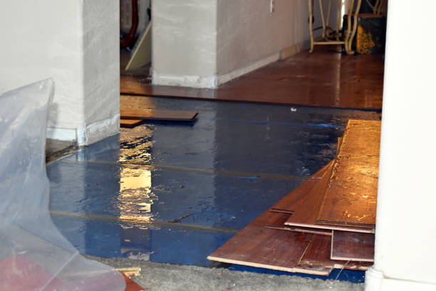Professional Basement Flood Cleanup technician working in Bear Creek, WI